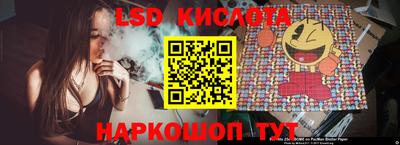 прущие крисы Новозыбков