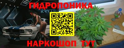 прущие крисы Новозыбков
