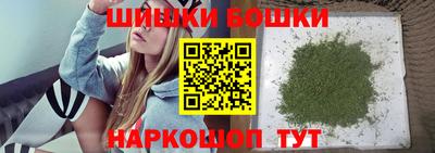 стаф Новокубанск