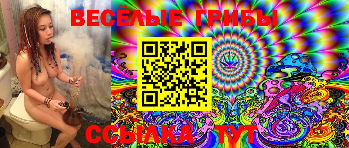 Сердобск  Галлюциногенные грибы ЛСД  Галлюциногенные грибы Cubensis  Вход с VPN 