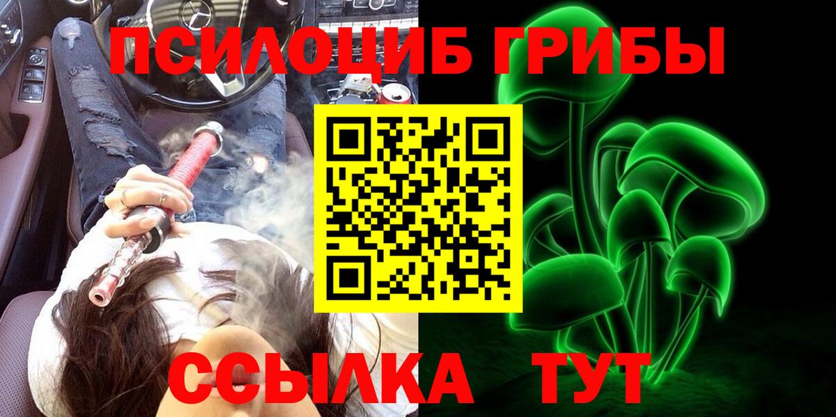 Галлюциногенные грибы Psilocybe Сердобск